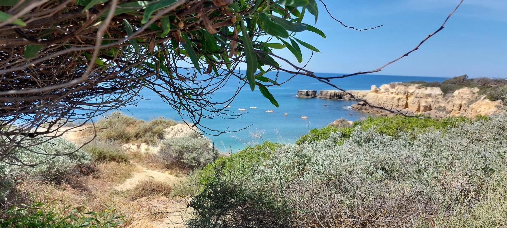 Baia Village - Do Castelo - Gale - Apartment *